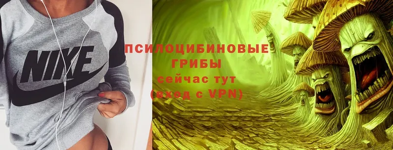 NBOMe Щигры